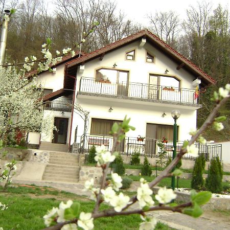 Pension Casa Natura Băile Herculane Exterior photo