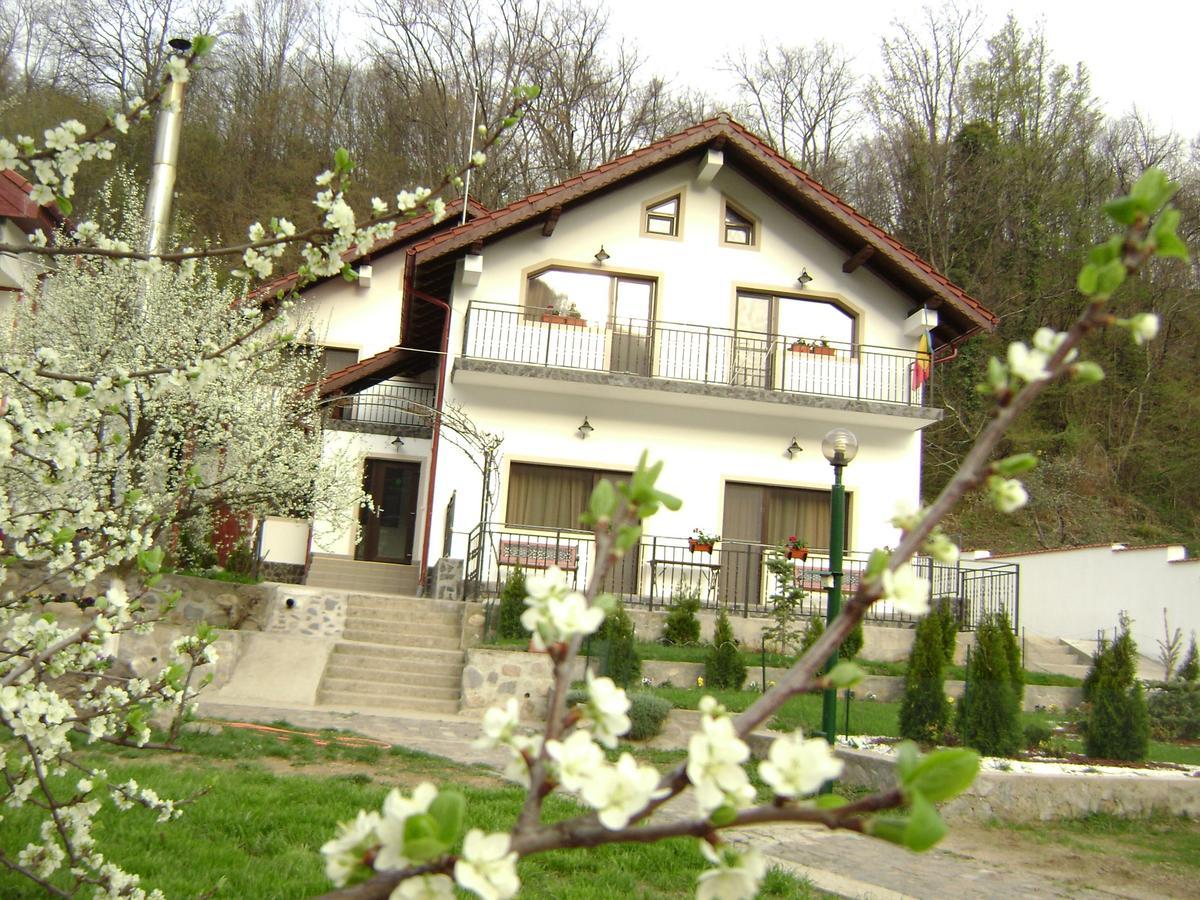 Pension Casa Natura Băile Herculane Exterior photo