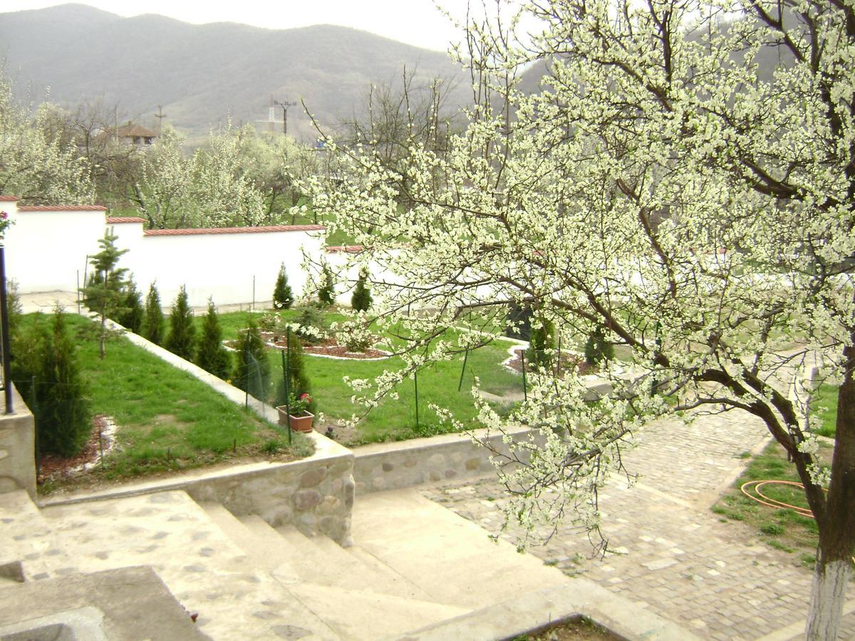 Pension Casa Natura Băile Herculane Exterior photo