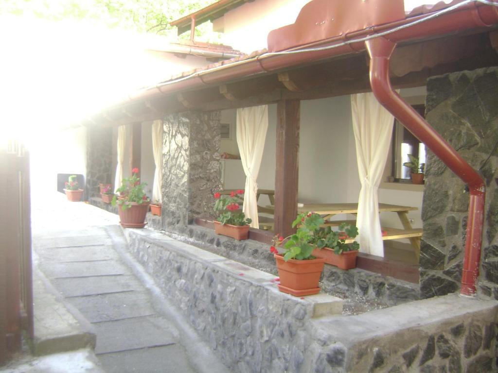 Pension Casa Natura Băile Herculane Exterior photo