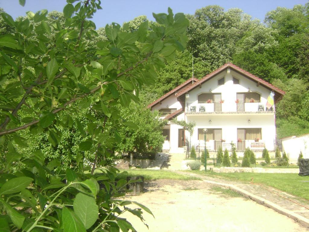 Pension Casa Natura Băile Herculane Exterior photo