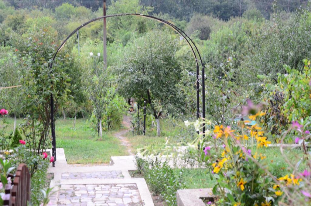 Pension Casa Natura Băile Herculane Exterior photo