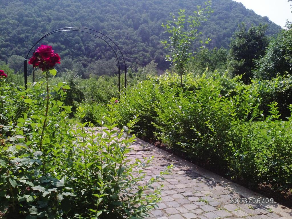 Pension Casa Natura Băile Herculane Exterior photo