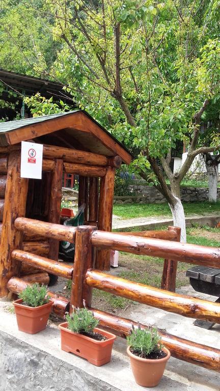 Pension Casa Natura Băile Herculane Exterior photo