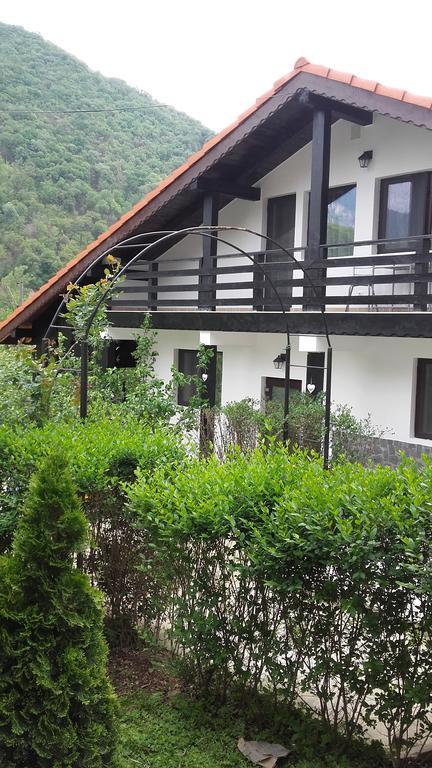 Pension Casa Natura Băile Herculane Exterior photo